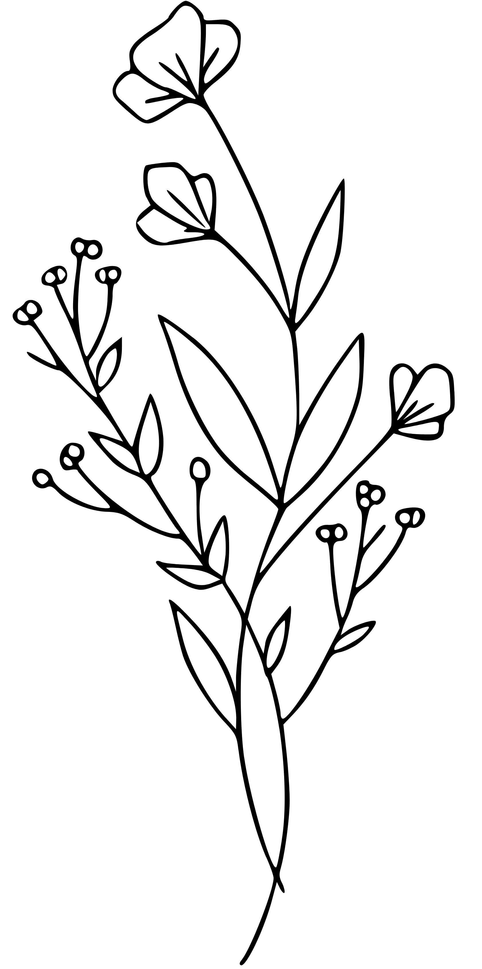 imagen portada